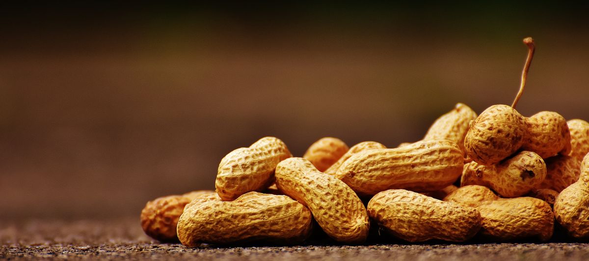 Close-up pile of unshelled peanuts
